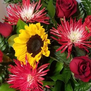 Meet your Posher, Karina